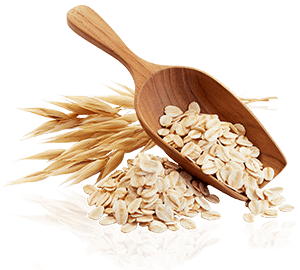 2401-hofgut-haferdrink-hafer-iStock-1255123441-300-px-breit.png